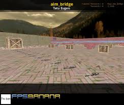 AIM_BRIDGE